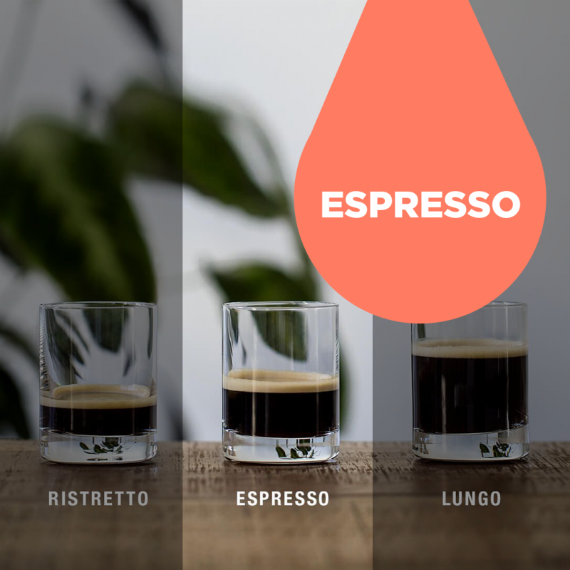 Classico Espresso